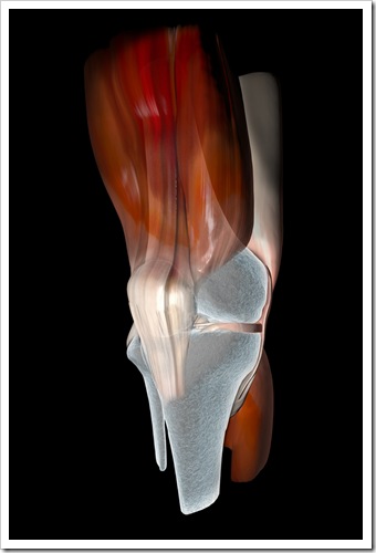 Knee Pain Lakewood CO Sports Injury