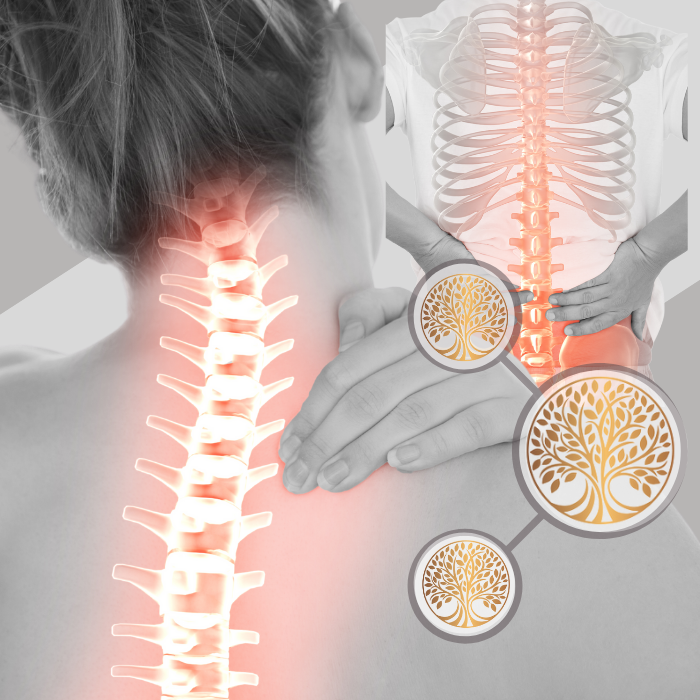 The Benefit of Therapeutic Massage For Sciatica Pain For Sufferers in  Lakewood